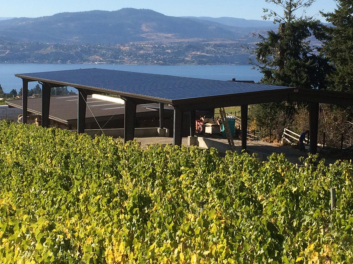 Raise a Glass: Remembering Vineyard Projects